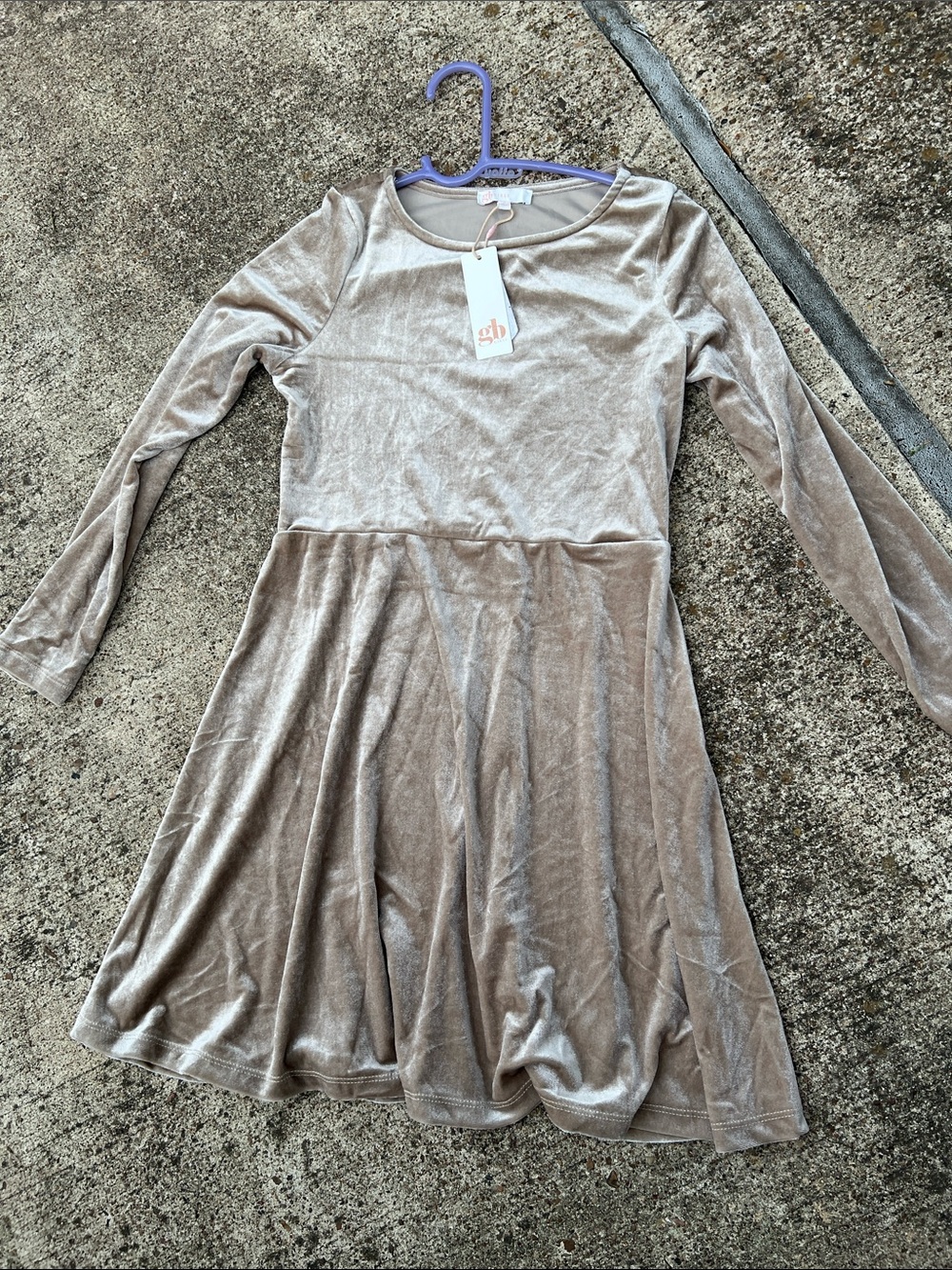 Beige Velvet Long Sleeve Skater Dress